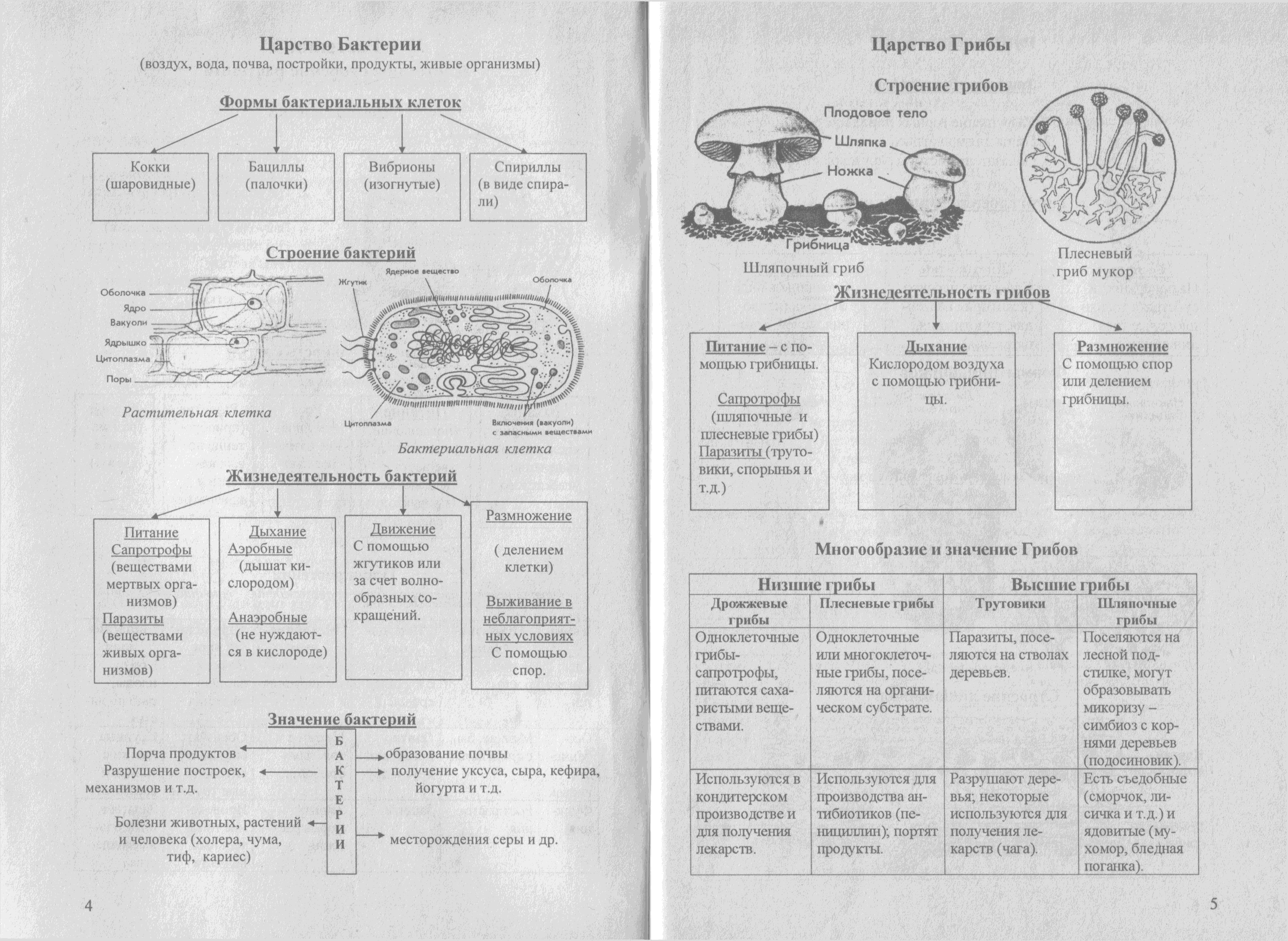 Тимофеев а с история в таблицах и схемах для школьников и абитуриентов