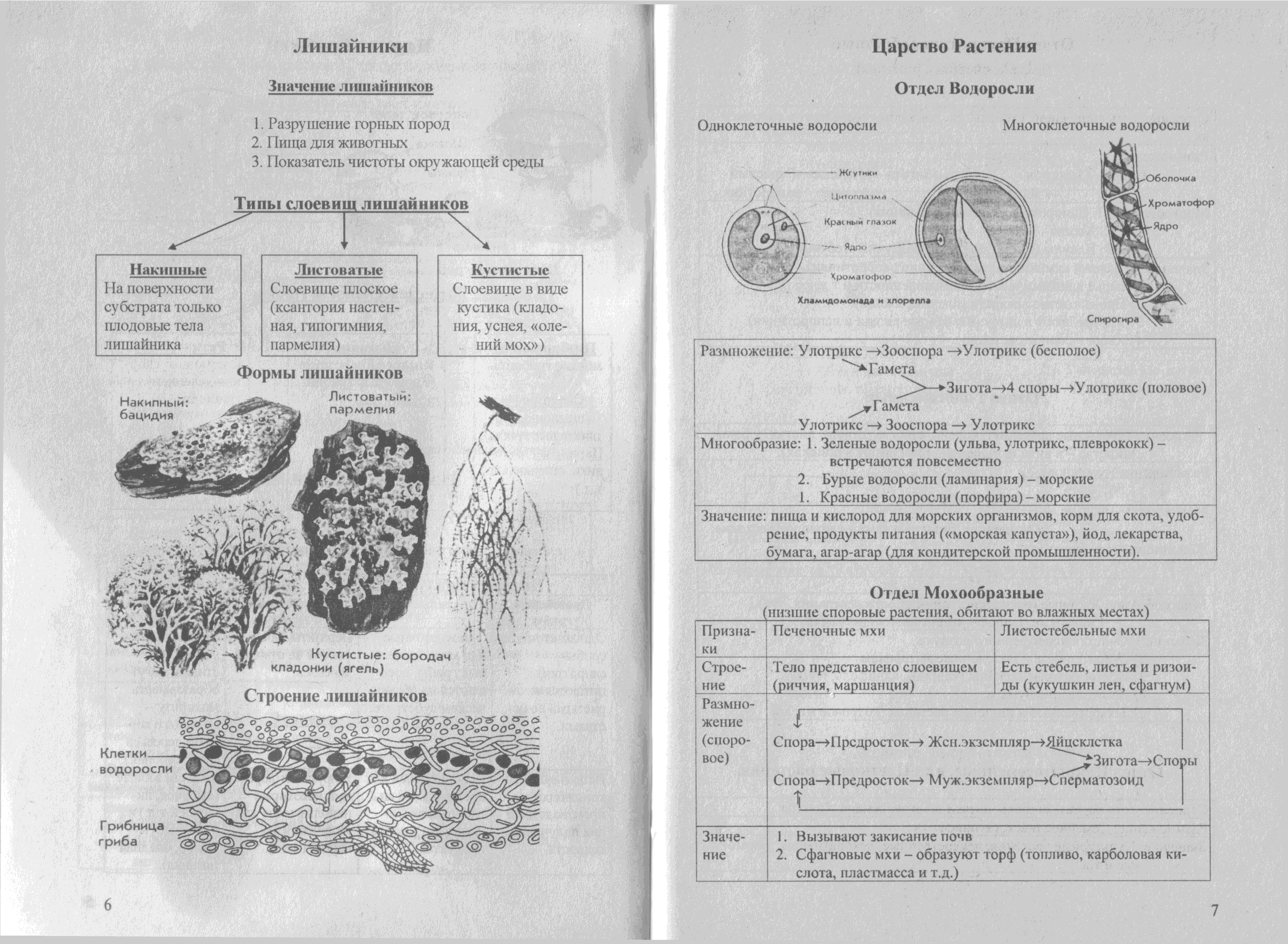 Тимофеев а с история в таблицах и схемах для школьников и абитуриентов