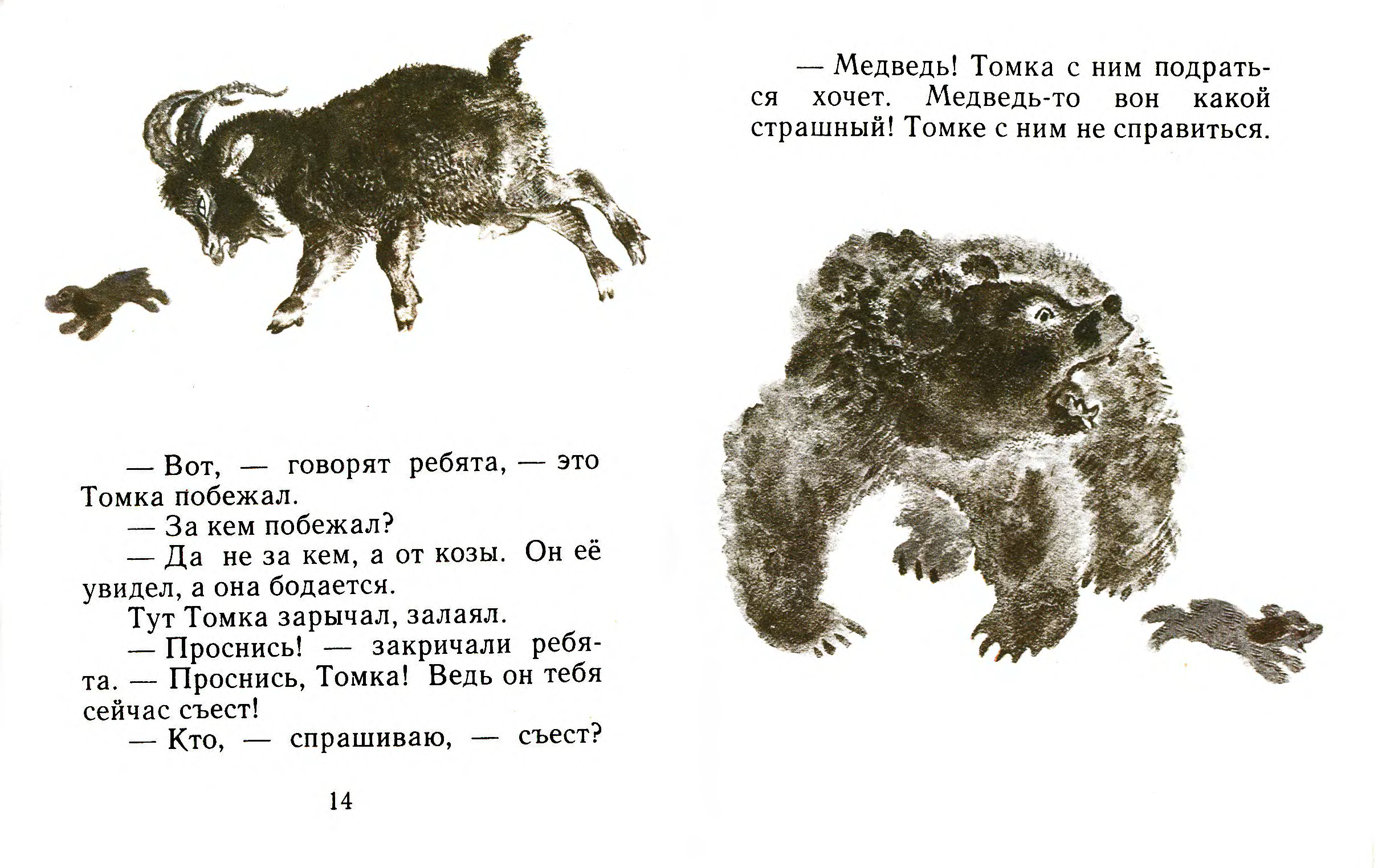 Презентация 1 класс чарушин томка и корова