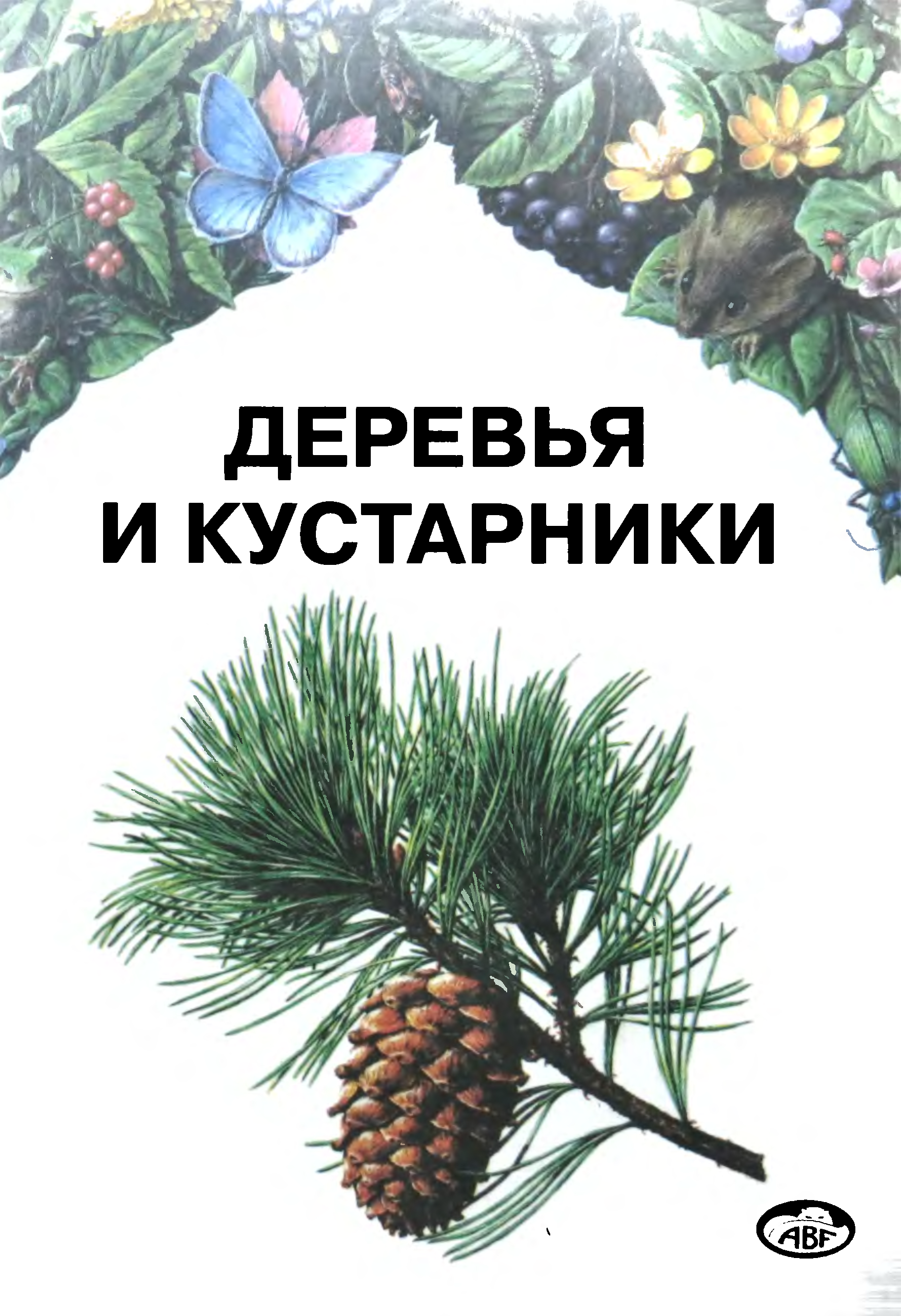 Определитель по ботанике для вузов. Купить на озоне кустарники. Книги кустов. 1. Наглядное пособие для педагогов логопедов воспитателей и родителей.
