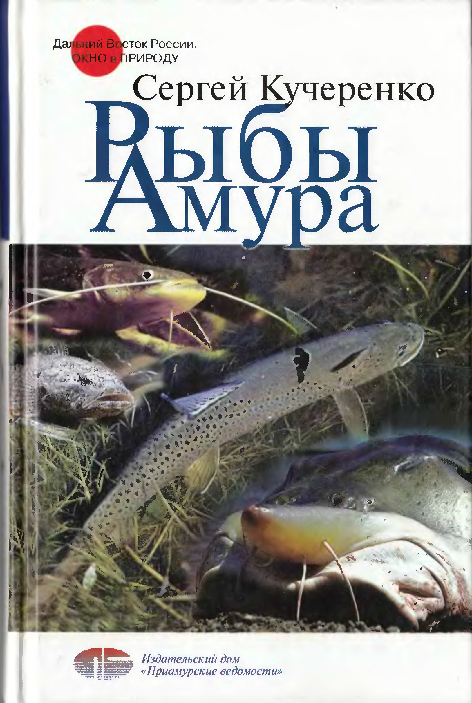 Книга рыбы. Книга рыбы Амура Кучеренко. Сергей Кучеренко книги. Книги о рыбах. Кучеренко Сергей Петрович книги.