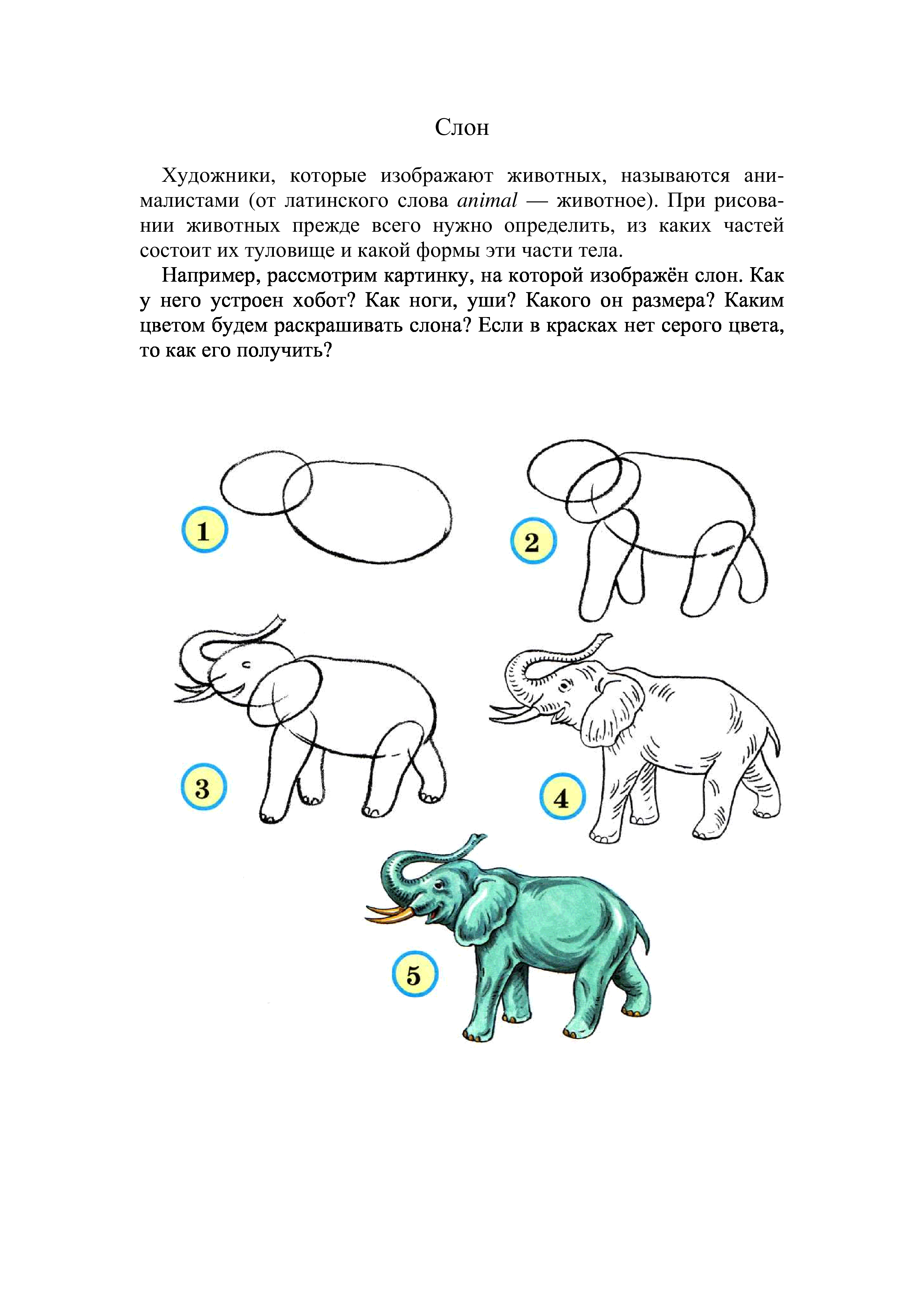 Слон поэтапное рисование для детей