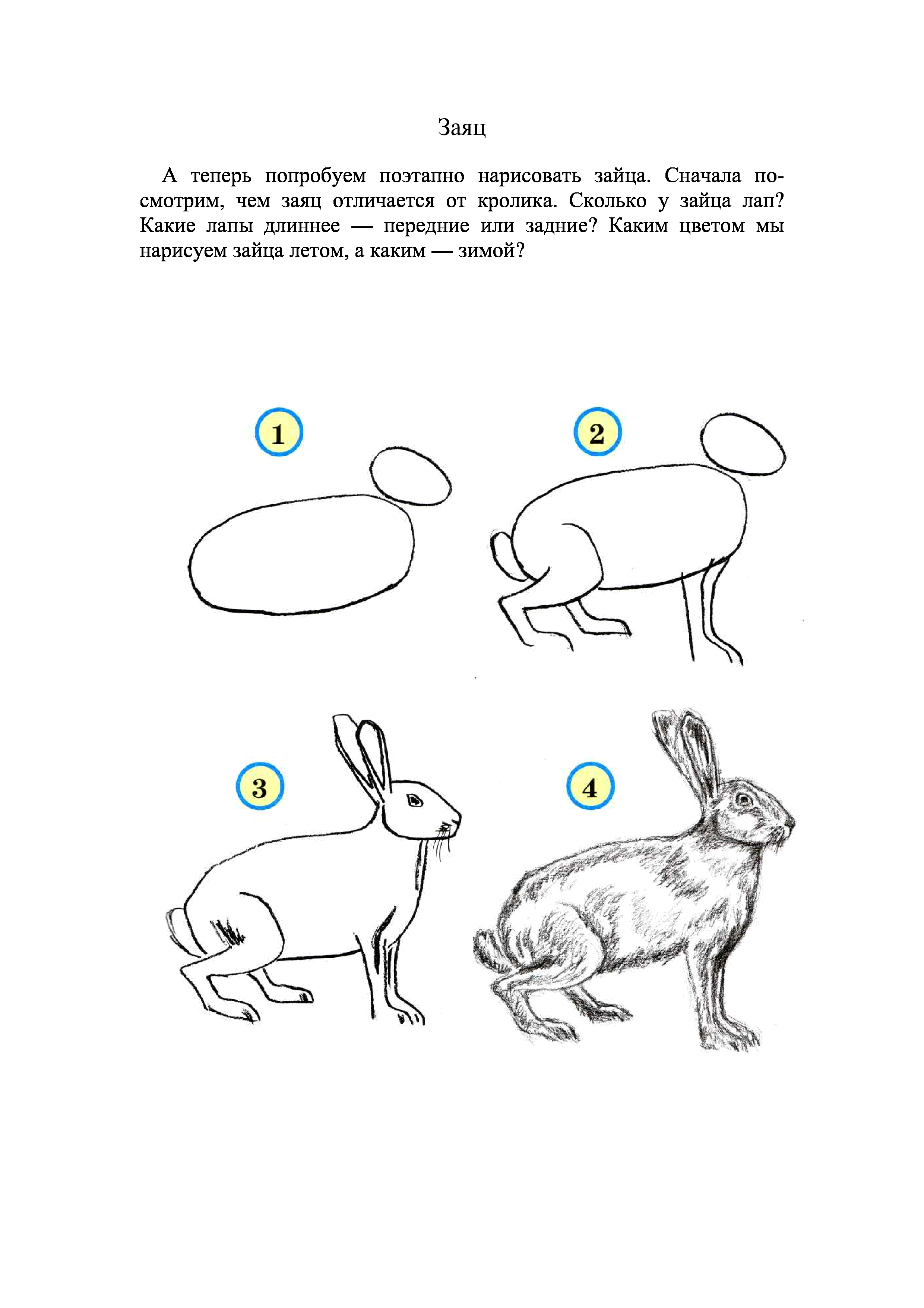 Учим детей рисовать животных зайца
