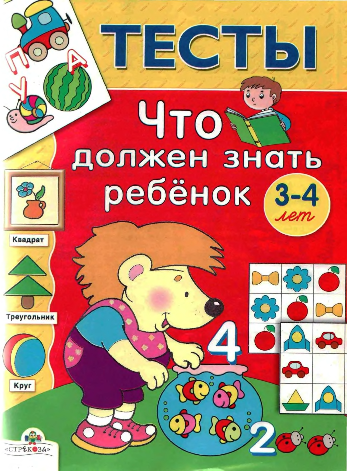 Знаешь детскую. ТЕСТЫЧТО должен знать ребёнок. Тесты что должен знать ребенок. Тесты: что должен знать ребенок 3-4 лет. Что должен знать ребенок в 3-4 года.