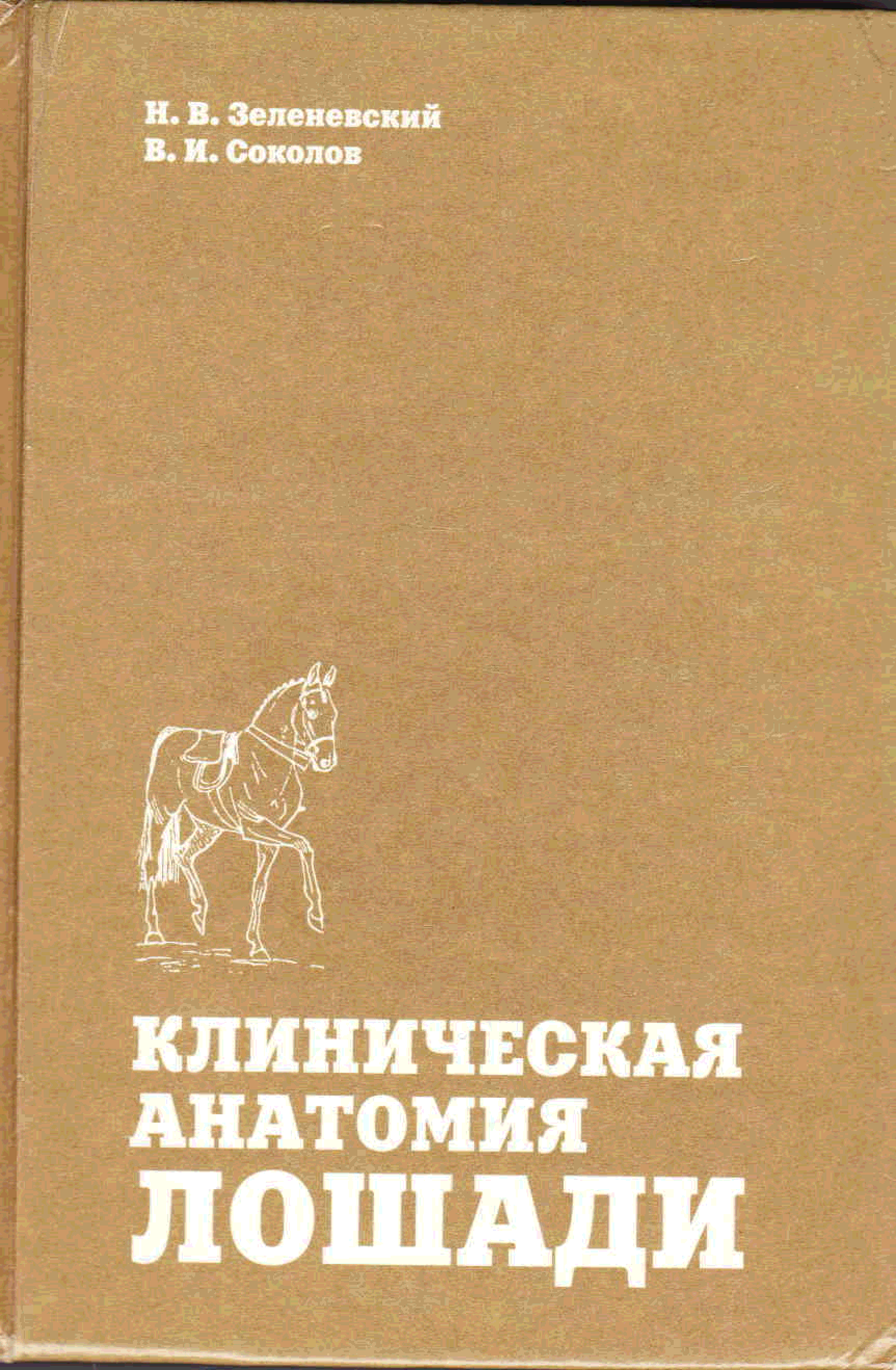 Анатомия и физиология зеленевский. Зеленевский анатомия лошади. Клиническая анатомия лошади. Анатомия лошади книга. Зеленевский анатомия и физиология животных.