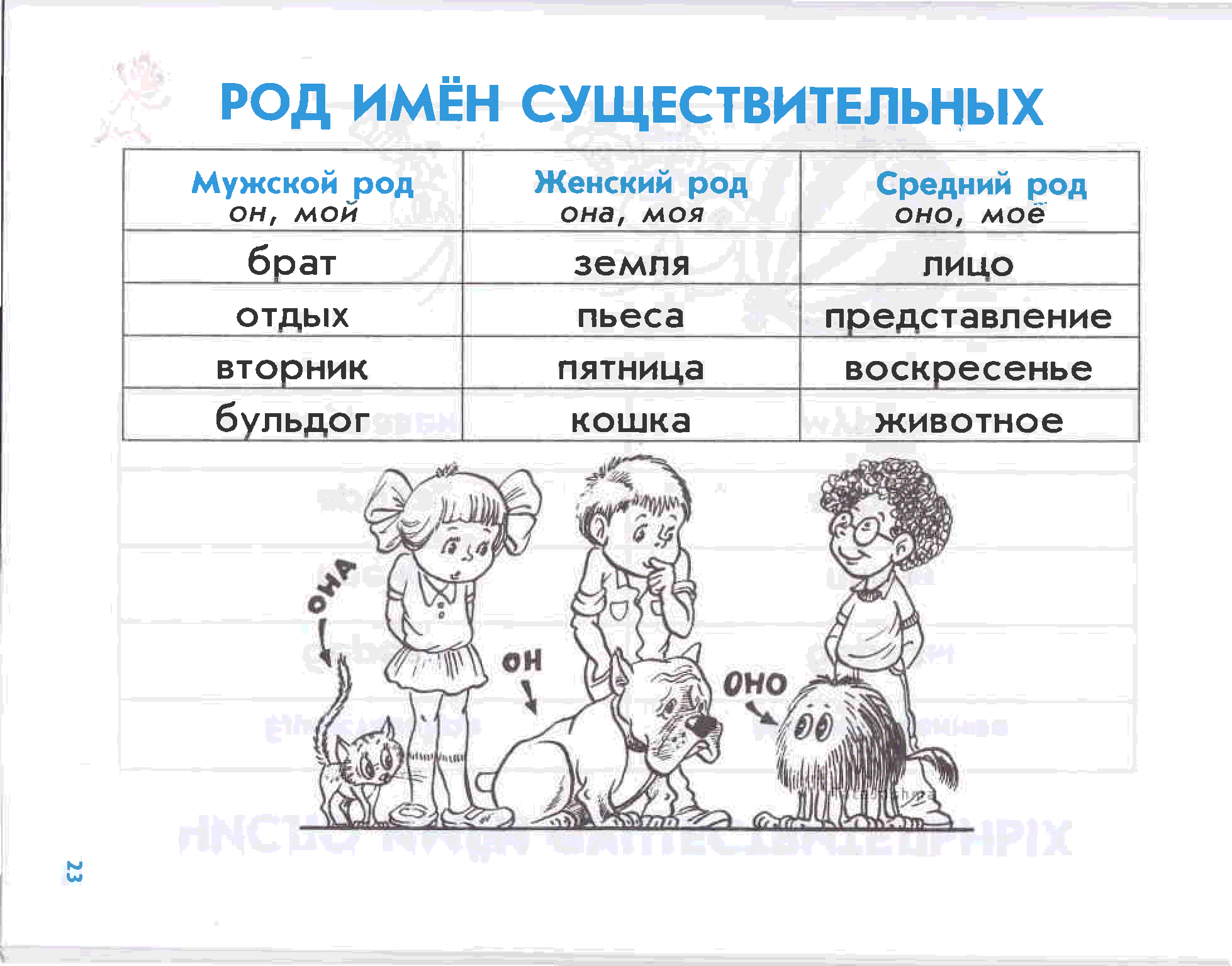 3 класс русский язык задания имя существительное. Правила русского языка. Правила по русскому. Род имен существительных задания для дошкольников. Род имен существительных задания в картинках.