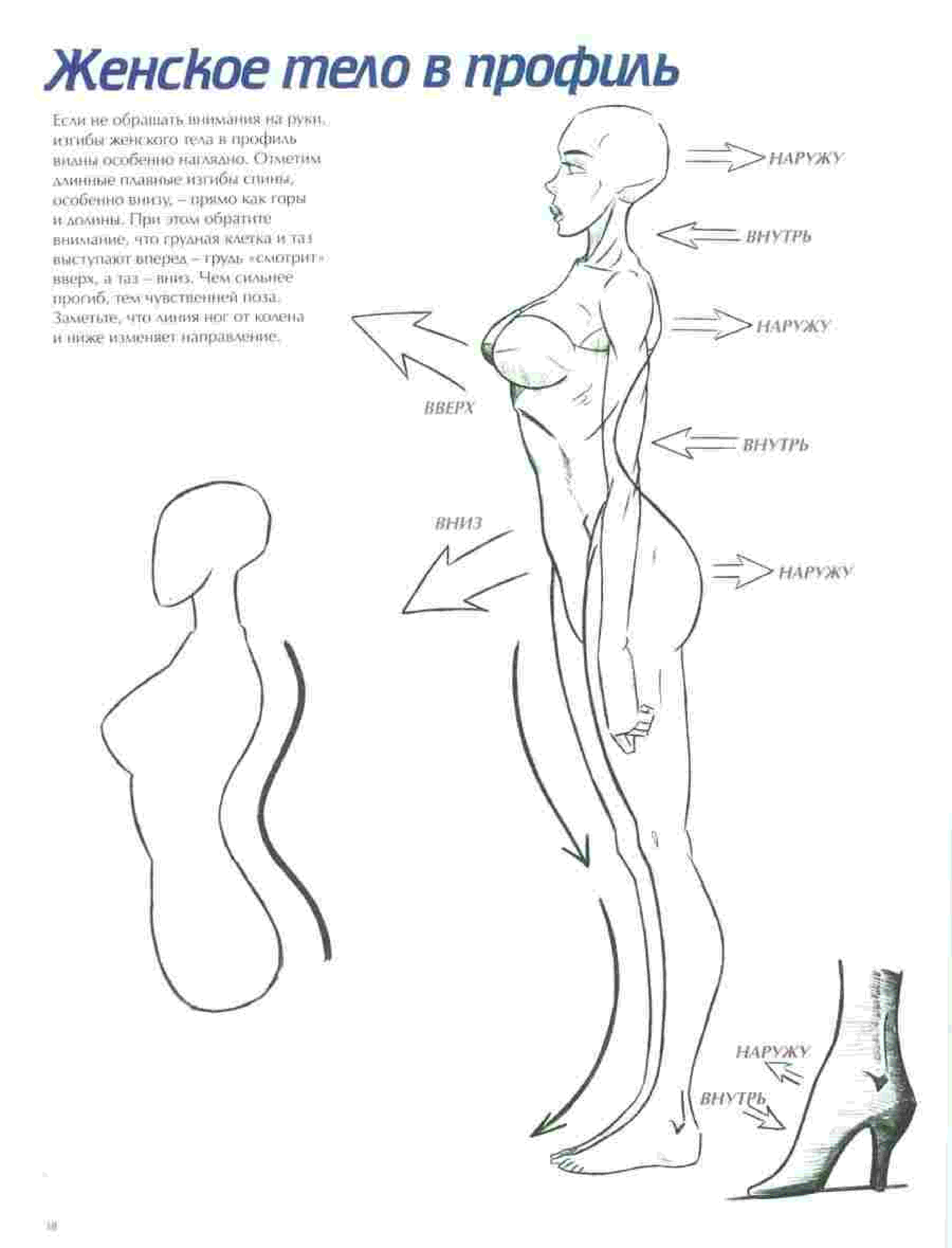 Тело боком. Женское тело в профиль. Тело женщины в профиль. Схема женского тела. Нарисовать женское тело.