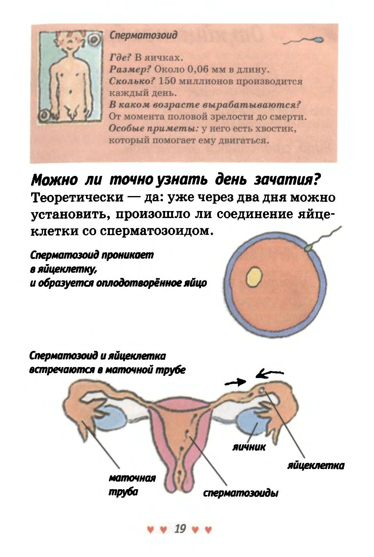 какая сперма должна быть у мужчины при зачатье фото 91