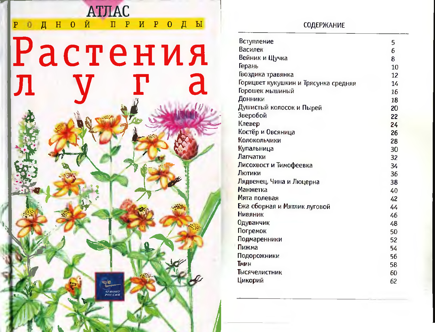 Растительный список. Атлас растений Луга. Перечень луговых цветов. Полевые цветы список названий. Луговые цветы названия для детей.